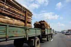kabinet-ministrov-ukrainy-predlagaet-otmenit-zapret-na-eksport-lesa Кабинет министров Украины предлагает отменить запрет на экспорт леса и ввести его продажу через аукционы март 2016 года