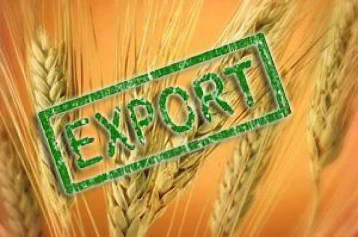 Україна експортувала майже 25 млн т зерна з початку маркетингового року