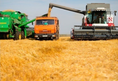 Україна побила власний рекорд з експорту зерна