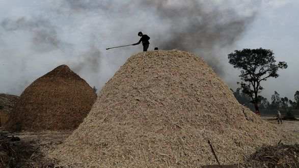 Продовольственный кризис Индия ограничивает экспорт сахара