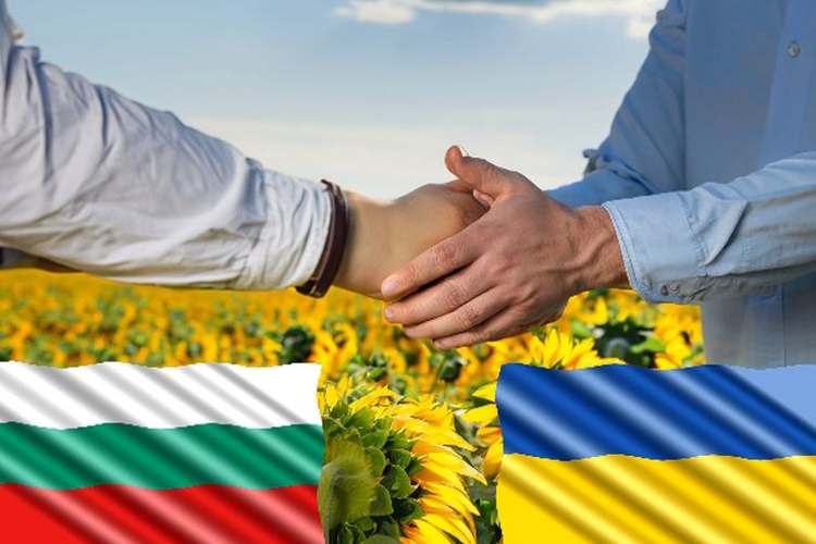 Болгарія дозволила імпорт українського соняшника діятиме режим ліцензування